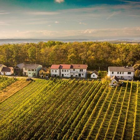 Ferienhaus Szapary II Eisenberg an der Pinka Buitenkant foto