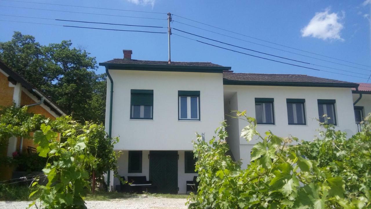 Ferienhaus Szapary II Eisenberg an der Pinka Buitenkant foto