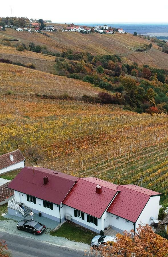 Ferienhaus Szapary II Eisenberg an der Pinka Buitenkant foto